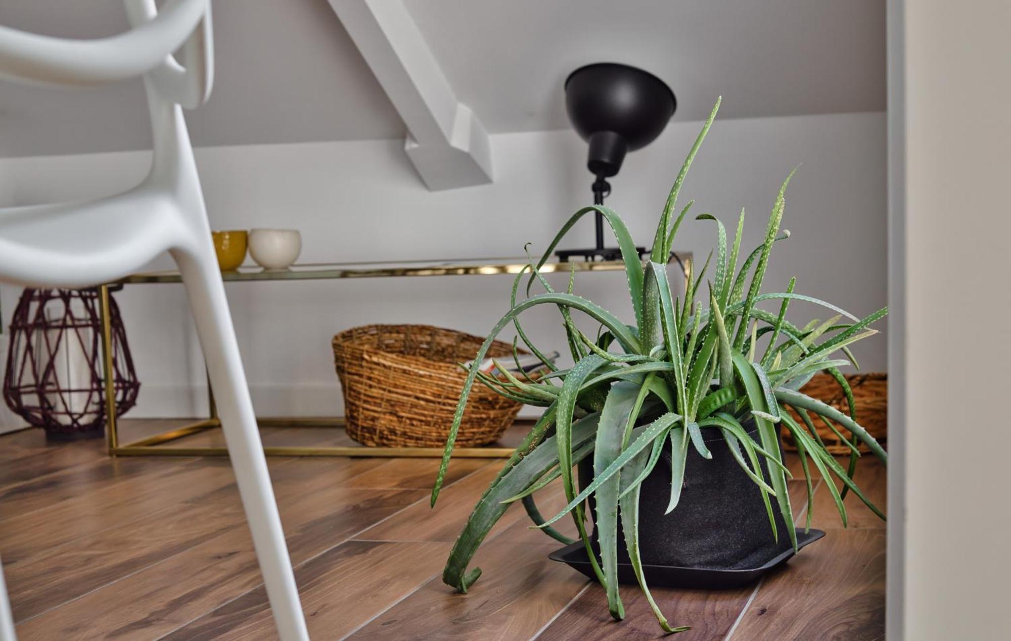 Just Urban - Stunning Penthouse With Balcony - Porta Venezia